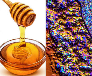Honey Under a Microscope