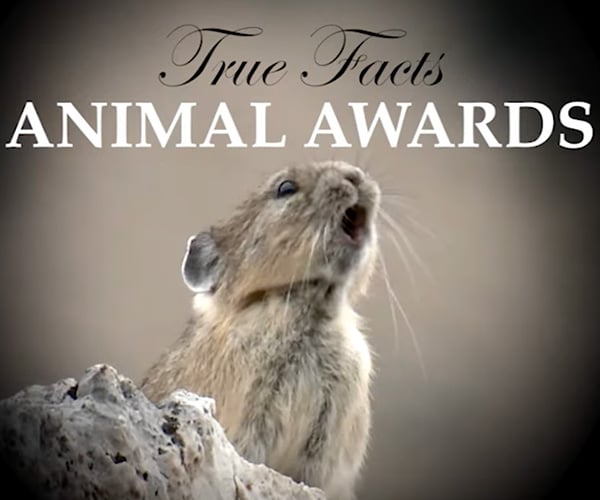 True Facts Animal Awards: March 2023